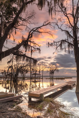 View on the pier at the lake with oak trees during sunrise