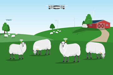 Plakat Sheep tracking monitoring on a smart farm. Vector illustration