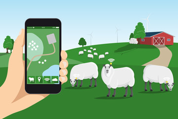 Obraz na płótnie Canvas Sheep tracking monitoring on a smart farm. Vector illustration