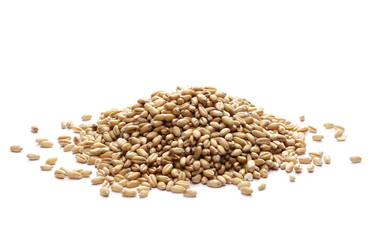 Wheat pile, side view, isolated on white background