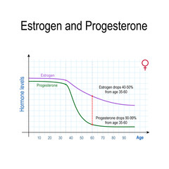 Estrogen, progesterone and aging