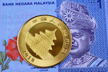 A Chinese gold panda coin with a blue Malaysian one ringgit bank note.  Shot close up, in macro.