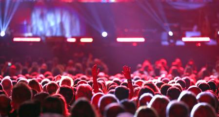 many girls and boys at concert