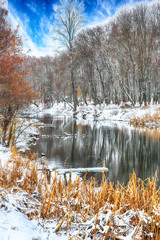 Scenic view of the river and trees in winter
