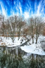 Foto auf Leinwand Scenic view of the river and trees in winter © pilat666