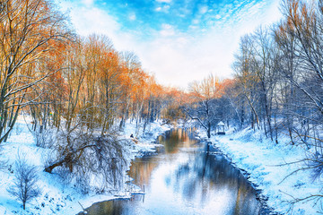 Naklejka premium Scenic view of the river and trees in winter