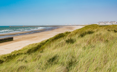 Fototapeta na wymiar Beach, summer and paysage concept: view of the beach, vegetation on the dunes and wooden breakwater on the north sea.Oye-Plage in France.