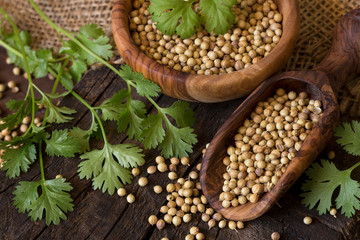 Coriander