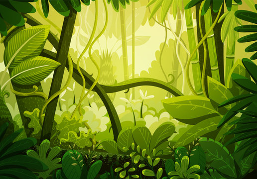 Vector Cartoon Empty Tropical Rainforest Jungle Background Stock Vector   Illustration of morning brazil 119009617