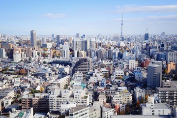 Fototapeta premium Bunkyo Ward, Tokyo