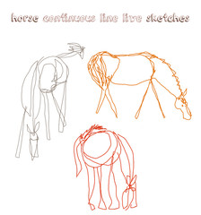 set/collection of horses digital illustration continuous line drawing