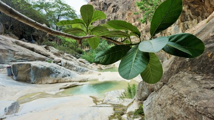 Vista de vegetaci&oacute;n y pozas naturales de agua en medio de area natural protegida
