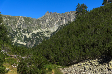Landscape with Green hills and forest at Pirin Mountain, Bulgaria