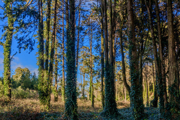 Vista da Serra de Sintra em Portugal