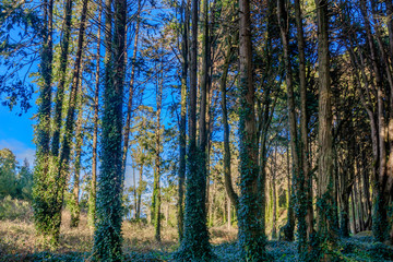 Vista da Serra de Sintra em Portugal