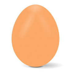 realistic world record egg vector Icon