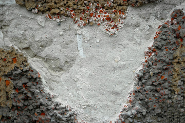Damaged cement plaster on abandoned wall