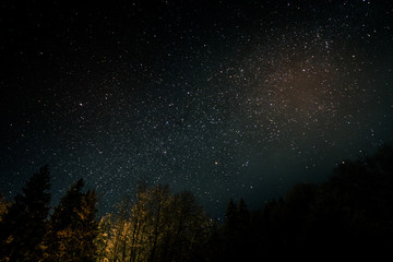 Beautiful night sky with many stars shining over the pine tree forest in the mountains