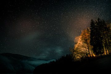 Amazing night sky with many stars shining over the pine tree forest in the mountains in the winter