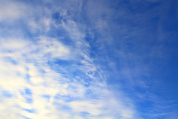 Beautiful cirrus clouds and blue sky. Background. Landscape.