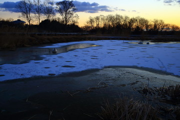 伊豆沼の夜明け