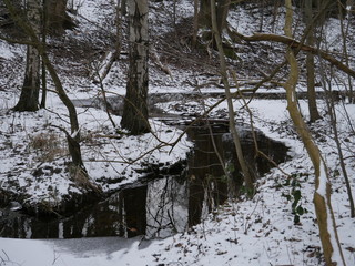 Kleiner Bach im Winterwald