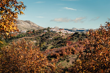 View of remote town on highlands in mountains with bright autumnal vegetation in sunlight. Cartajima in Malaga, Spain