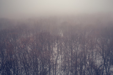 Obraz na płótnie Canvas Winter forest in fog, aerial view, vintage toned