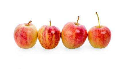 Gala apples on white background