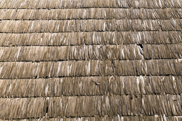 Old Roof Texture. A traditional roof of an old village house in Maramures, Romania.