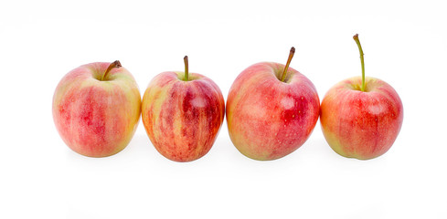  Gala apple isolated on a white background.