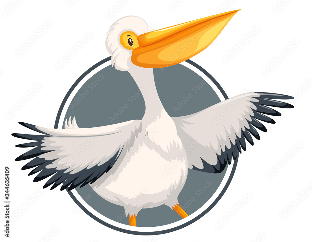 Poster Pelican on circle banner