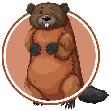 Beaver in circle banner