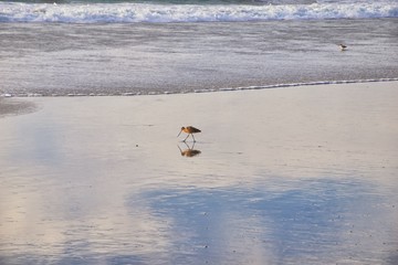 La Mision Valley landscapes and Beach in Mexico on the West Coast a small canyon near the Pacific Ocean that houses the Door of Faith and Buena Vida Orphanage, South of Tijuana, Mexico. 