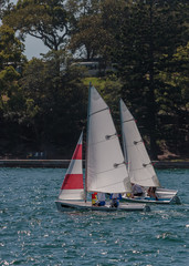 Fototapeta premium Sailing on the Harbour