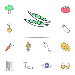 kidney beans icon. web icons universal set for web and mobile