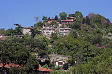 Fototapeta na wymiar Bosphorus villas in Istanbul, Turkey.