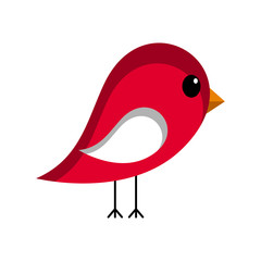 Isolated cute bird. Love icon. Vector illustration design