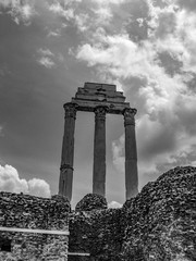 Roman Columns in Black and White
