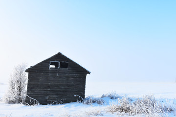 Old Wooden Granaries in Winter