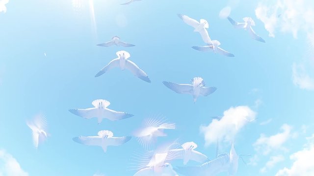 Bright scenic view from below of seagulls flying in dreamy slow motion overlay in golden sunlight against soft blue sky