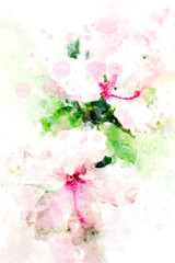 Fototapeta na wymiar Pink hibiscus illustration. Digital watercolor image.