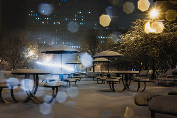 chicago covered in snow