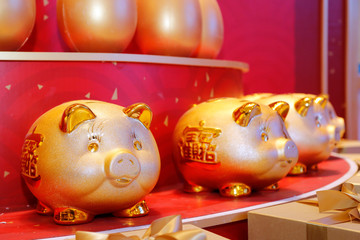 Golden Pig new Year