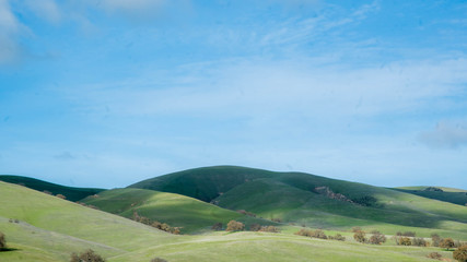 Vinyard in Northern California