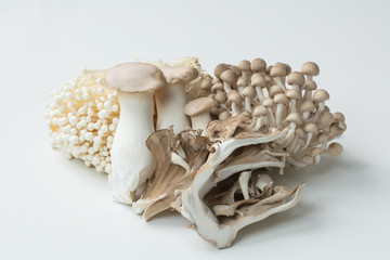 白背景にキノコ類の集合