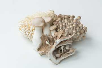 白背景にキノコ類の集合