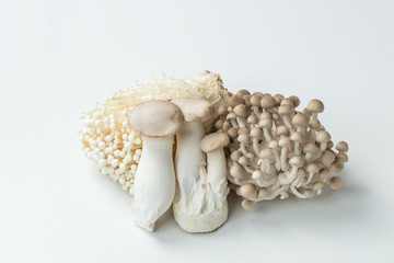 白背景にキノコ類の集合