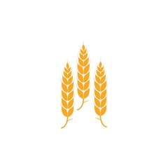 Wheat Leaf Organic Logo Vector Template