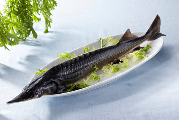 Delicious Chinese food, fresh ingredients, fish

